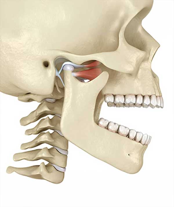 TMJ / TMD Treatments in Anchorage
